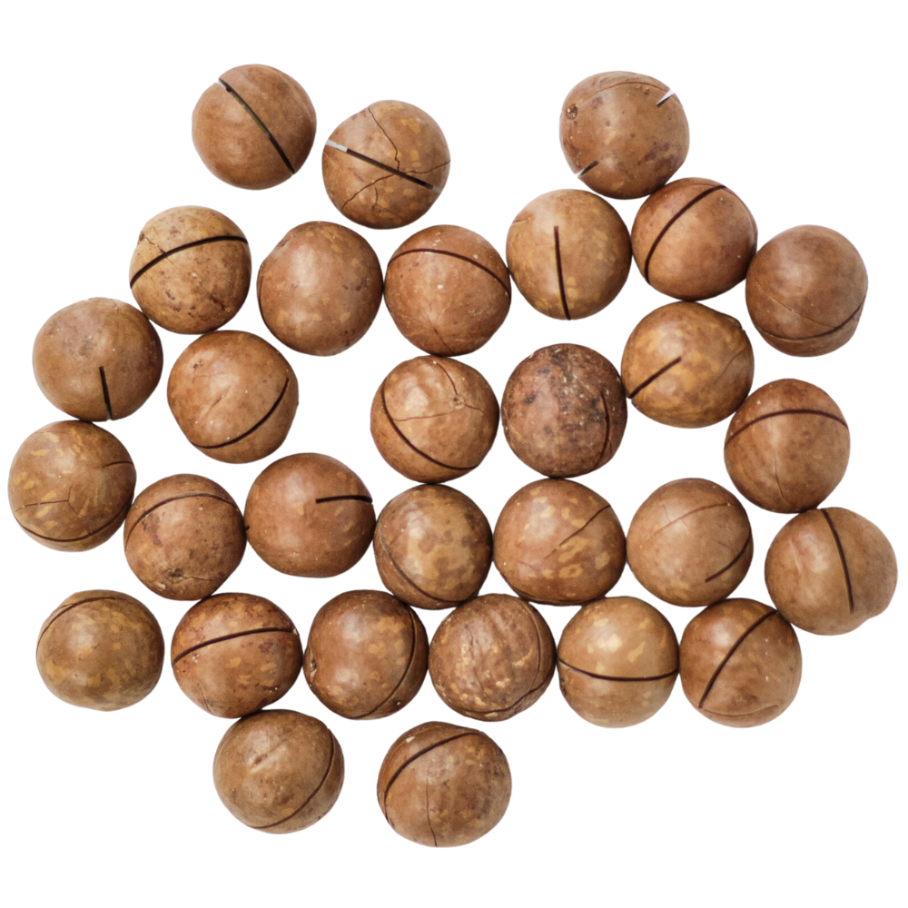 orzechy macadamia z lupiona